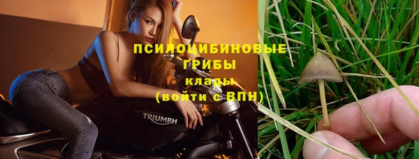 дмт Алзамай