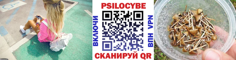 Псилоцибиновые грибы Psilocybine cubensis Советская Гавань